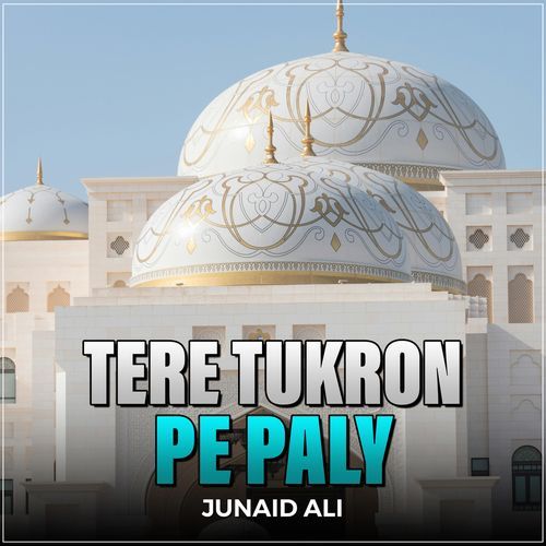 Tere Tukron Pe Paly