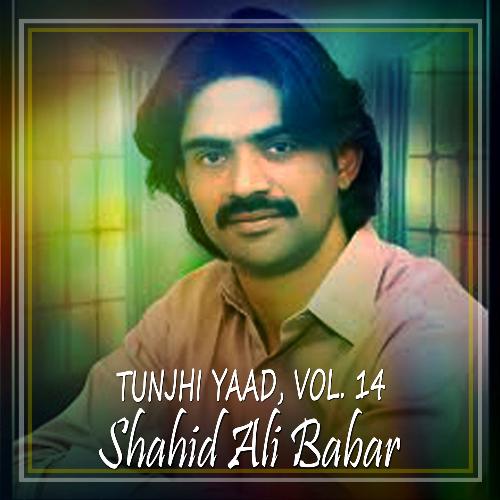 Tunjhi Yaad, Vol. 14