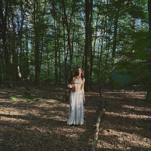 portal to an abandoned garden