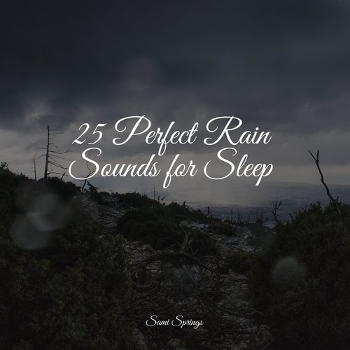 25 Perfect Rain Sounds for Sleep