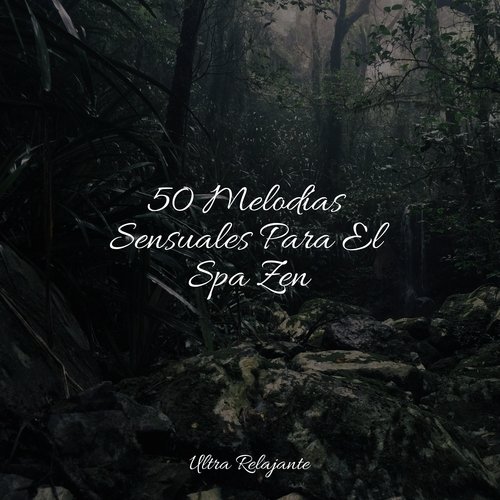 Salvación Sin Estrés