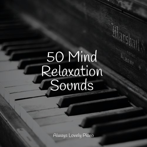 50 Mind Relaxation Sounds