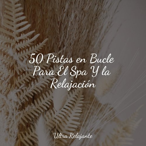 50 Pistas en Bucle Para El Spa Y la Relajación_poster_image