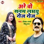 Arey Wo Sanam Lab You Roj Roj