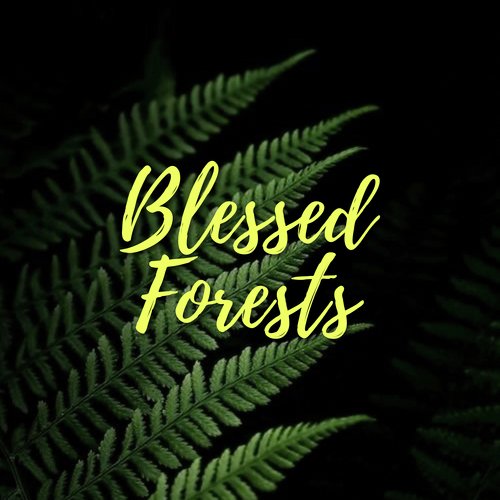 Blessed Forests_poster_image