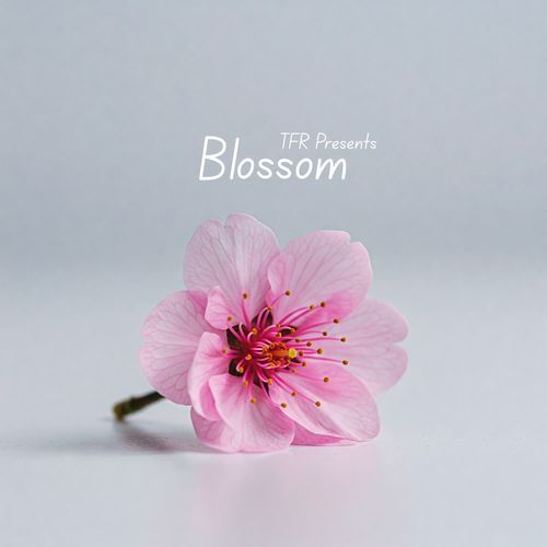 Blossom