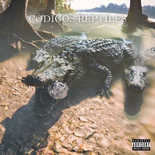 Pupila Down cover art