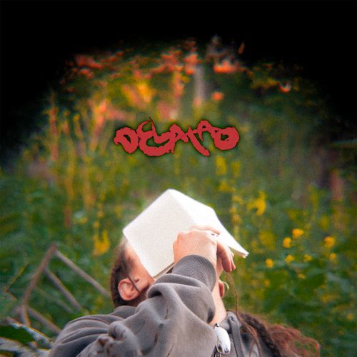 Lapsus cover art