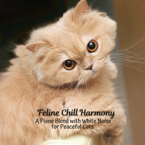Piano Cat's Meow cover art