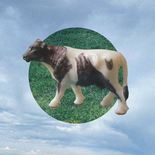Fair Field cover art