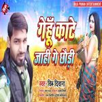 Gehu Kate Jahi Ge Chhori