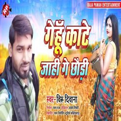 Gehu Kate Jahi Ge Chhori