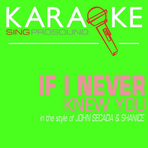 If I Never Knew You (In the Style of John Secada & Shanice) [Karaoke Version]