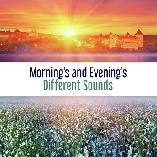 Morning's and Evening's Different Sounds (60 Experience of Relaxation and Quiet Nature, A Surge of Positive Energy)