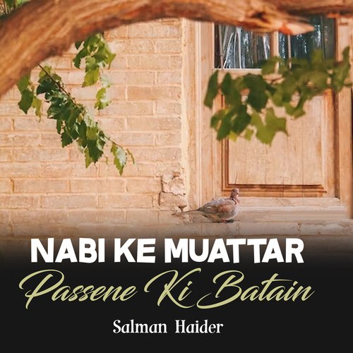 Nabi Ke Muattar Passene Ki Batain