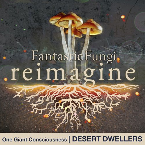 One Giant Consciousness (Fantastic Fungi: Reimagine)_poster_image