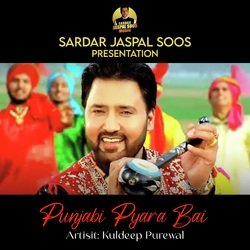 Punjabi Pyara Bai-SRI8ZB5CTnk