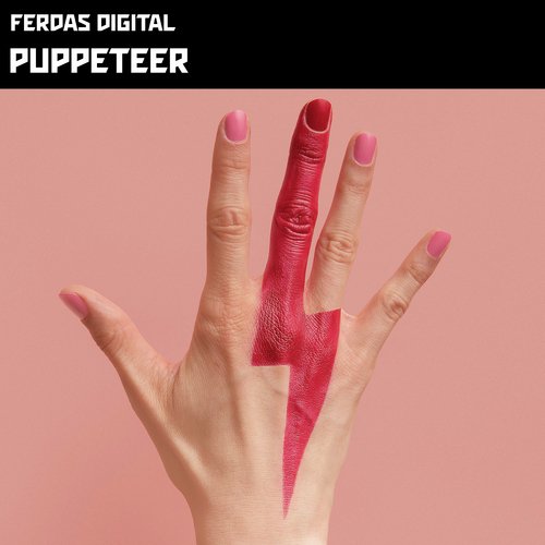 Puppeteer cover art