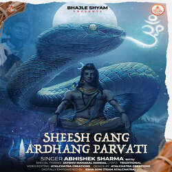 Sheesh Gang Ardhang Parvati-SDIORB8BbgM