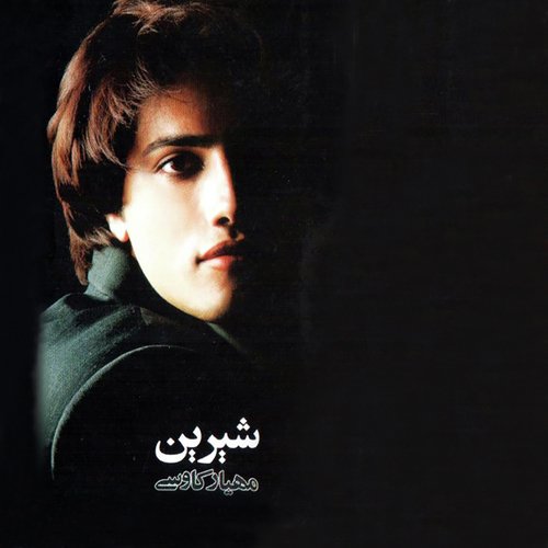 Shirin (Instrumental) cover art
