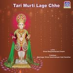 Tari Murti Lage Chhe