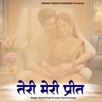 Teri Meri Preet
