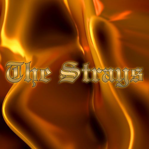 The strays_poster_image