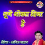 Tune Dhokha Diya Hai