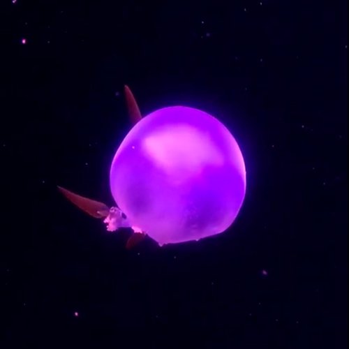 Gradient cover art