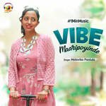 Vibe Maaripoyinde - 1 Min Music