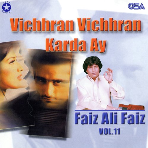 Vichhran Vichhran Karda Ay, Vol. 11_poster_image