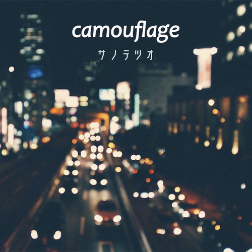 camouflage cover art