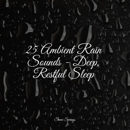 25 Ambient Rain Sounds - Deep, Restful Sleep_poster_image