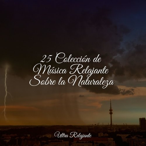 Charla Divina cover art