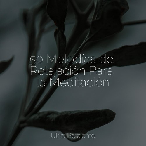 50 Melodías de Relajación Para la Meditación_poster_image