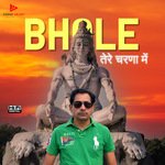 Bhole Tere Charna Main