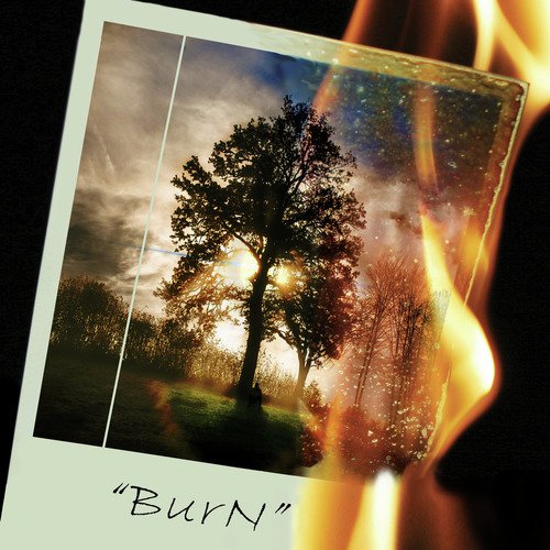 Burn_poster_image