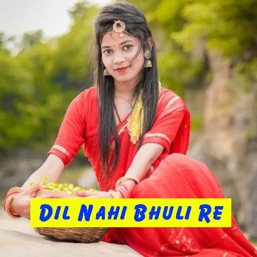 Dil Nahi Bhuli Re