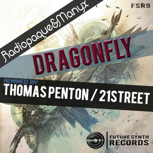 Dragonfly (21street Remix) cover art