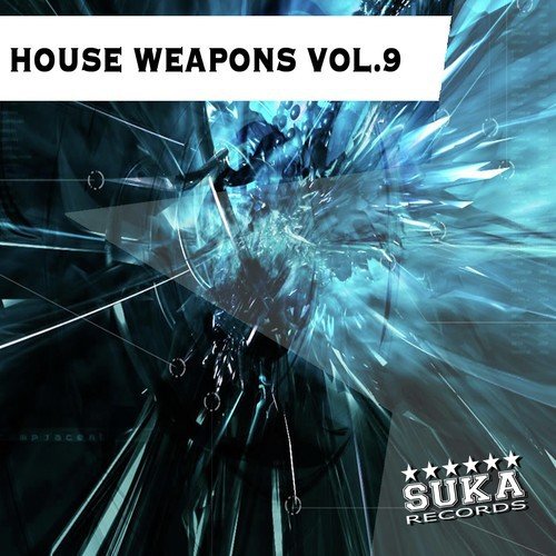 House Weapons, Vol. 9