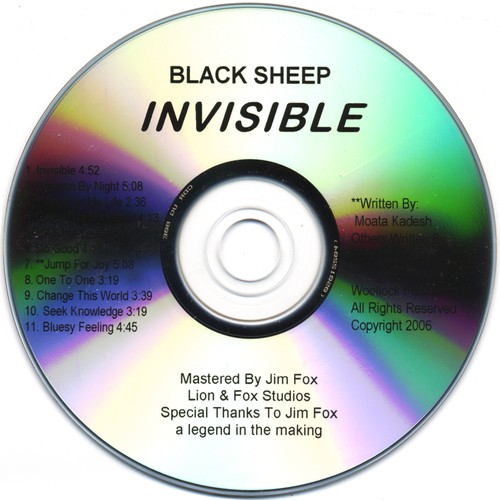 Invisible_poster_image