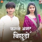 Kalo Bhammar Bichhudo