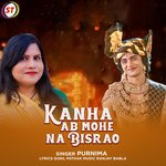 Kanha Ab Mohe Na Bisrao