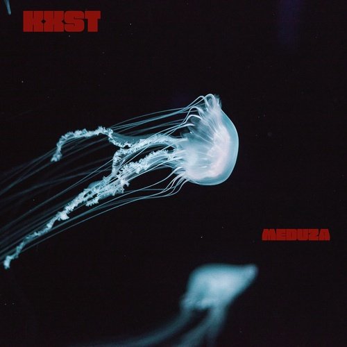 MEDUZA cover art