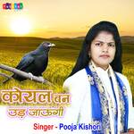 Mai Koyal Ban Ud  Jaungi