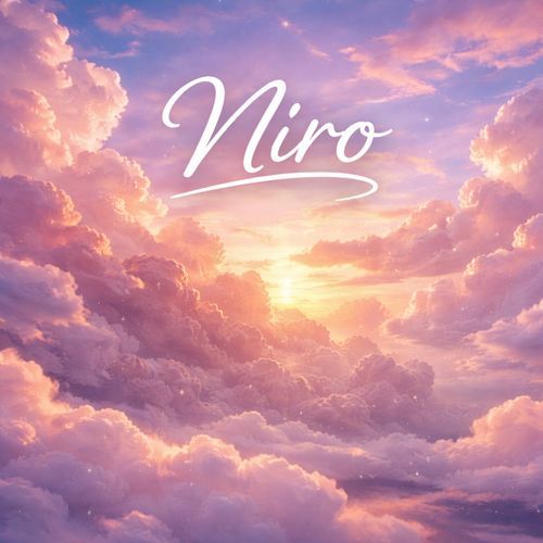 Niro cover art