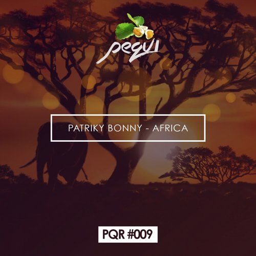 Patriky Bonny - Africa ( Original Mix )_poster_image