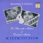 Raga Malkaus - Indian Classical Sitar Instrumental