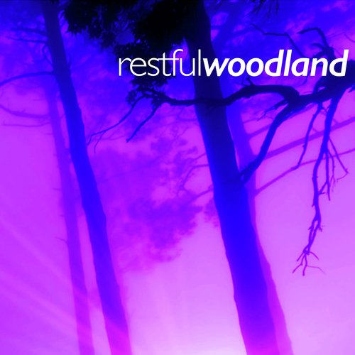 Restful Woodland