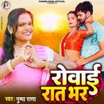 Rowai Raat Bhar artwork